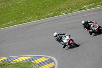 anglesey-no-limits-trackday;anglesey-photographs;anglesey-trackday-photographs;enduro-digital-images;event-digital-images;eventdigitalimages;no-limits-trackdays;peter-wileman-photography;racing-digital-images;trac-mon;trackday-digital-images;trackday-photos;ty-croes